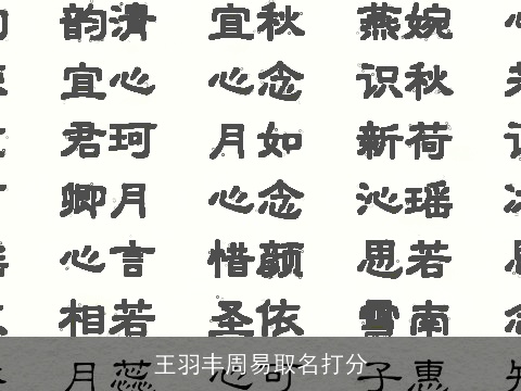 王羽丰周易取名打分