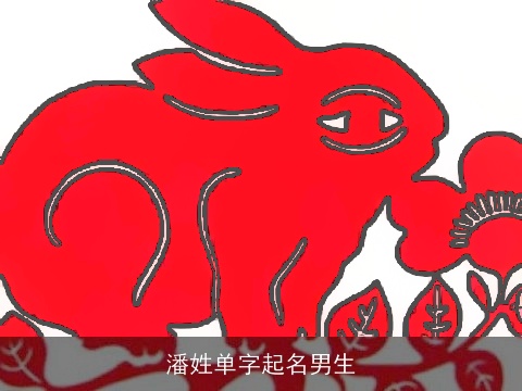 潘姓单字起名男生