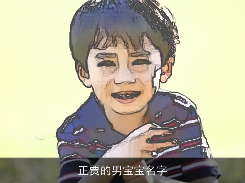 正贾的男宝宝名字