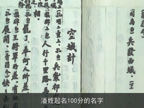 潘姓起名100分的名字