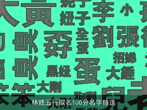 林姓五行取名100分名字精选