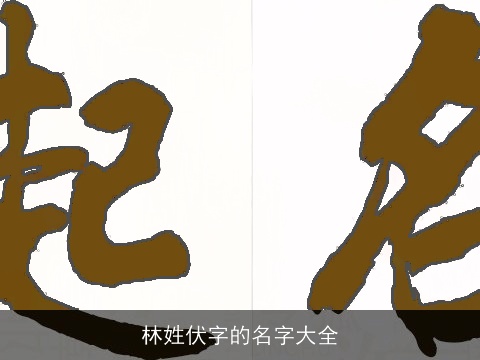 林姓伏字的名字大全