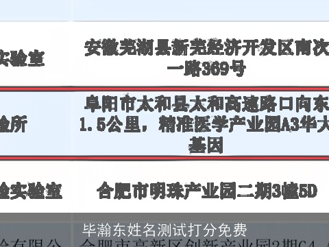 毕瀚东姓名测试打分免费
