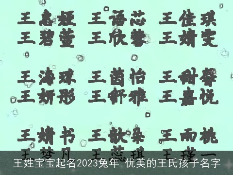 王姓宝宝起名2023兔年 优美的王氏孩子名字