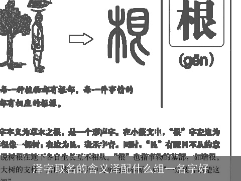 泽字取名的含义泽配什么组一名字好