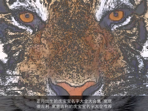 正月出生的虎宝宝名字大全大合集 寓意很吉利 寓意吉利的虎宝宝名字大全推荐