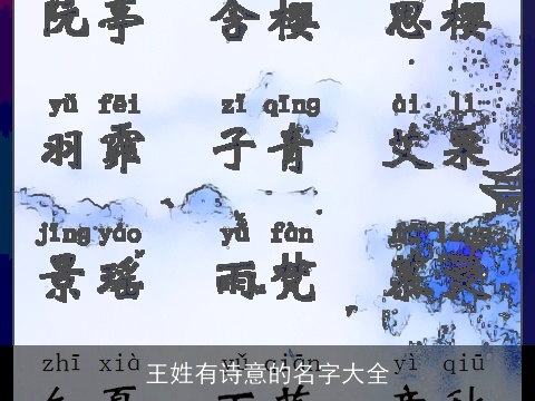 王姓有诗意的名字大全
