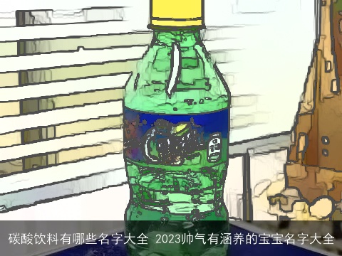 碳酸饮料有哪些名字大全 2023帅气有涵养的宝宝名字大全