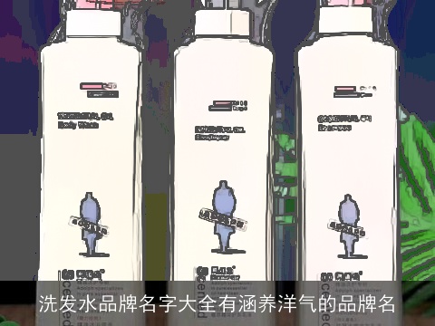 洗发水品牌名字大全有涵养洋气的品牌名