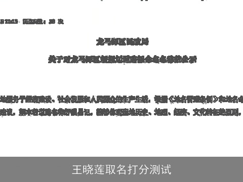 王晓莲取名打分测试