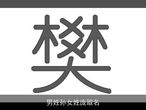 男姓孙女姓庞取名