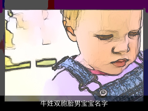 牛姓双胞胎男宝宝名字