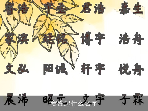 窦姓起什么名字