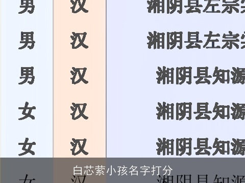 白芯萦小孩名字打分
