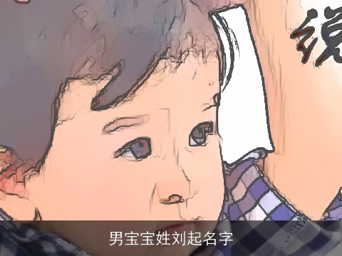 男宝宝姓刘起名字