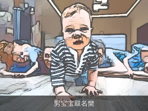 男宝宝取名樊