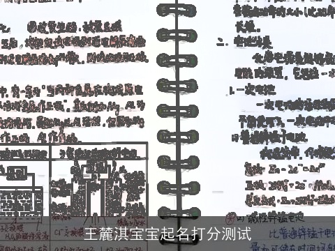 王麓淇宝宝起名打分测试