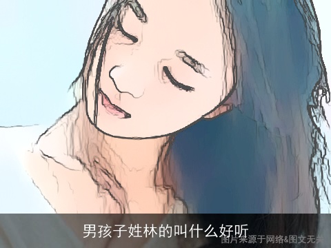 男孩子姓林的叫什么好听