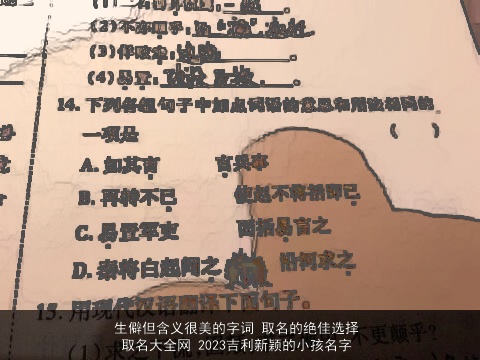 生僻但含义很美的字词 取名的绝佳选择  取名大全网 2023吉利新颖的小孩名字
