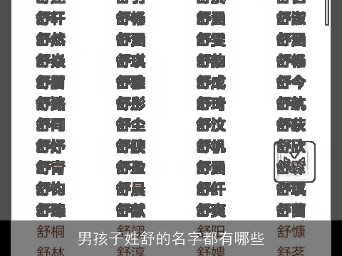 男孩子姓舒的名字都有哪些