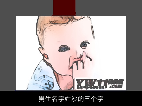 男生名字姓沙的三个字