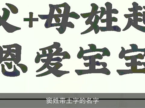 窦姓带土字的名字