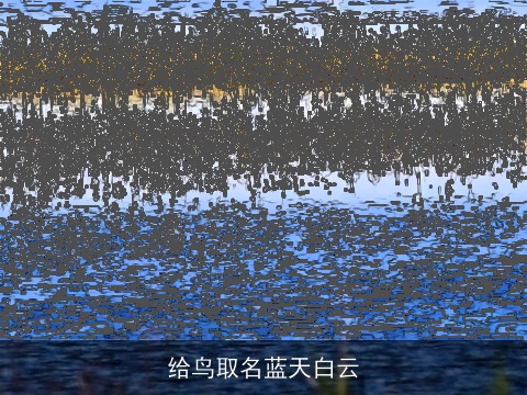 给鸟取名蓝天白云