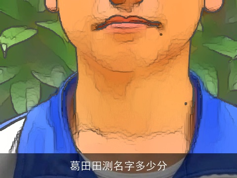 葛田田测名字多少分