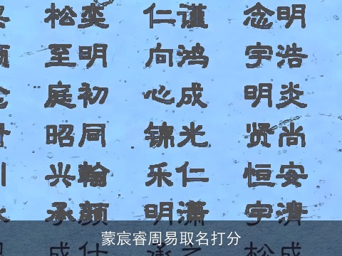 蒙宸睿周易取名打分
