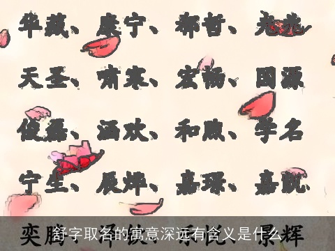 舒字取名的寓意深远有含义是什么