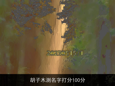 胡子木测名字打分100分