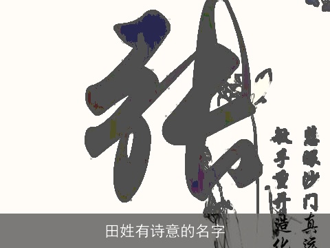 田姓有诗意的名字