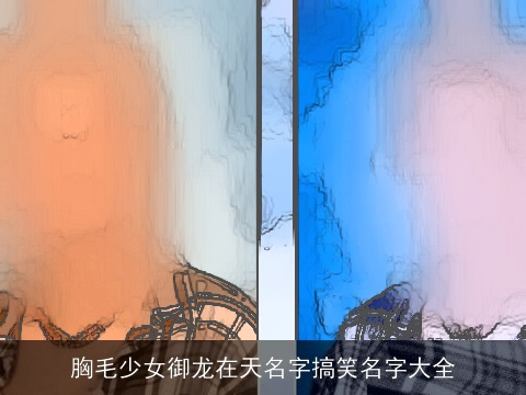 胸毛少女御龙在天名字搞笑名字大全