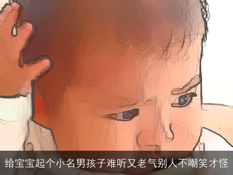 给宝宝起个小名男孩子难听又老气别人不嘲笑才怪