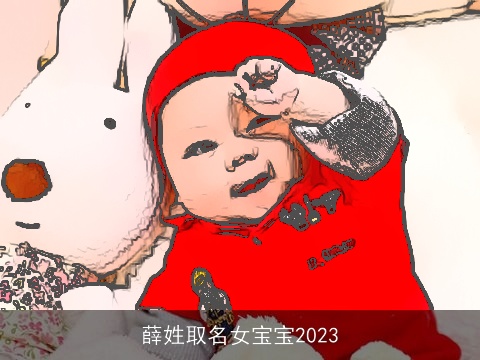 薛姓取名女宝宝2023