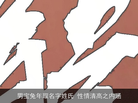 男宝兔年取名字姓氏 性情清高之内涵