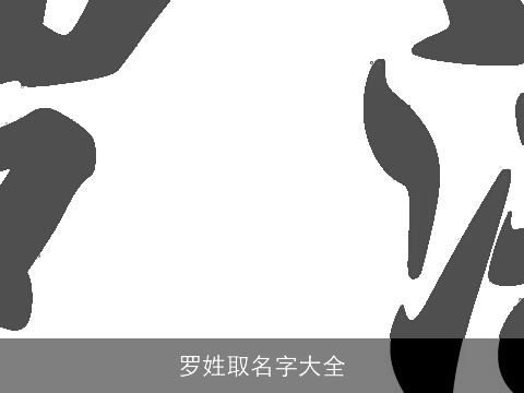 罗姓取名字大全
