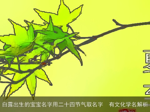 白露出生的宝宝名字用二十四节气取名字  有文化学名解析