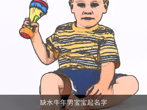 缺水龙年男宝宝起名字