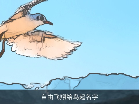自由飞翔给鸟起名字 自由飞翔给鸟起名字
