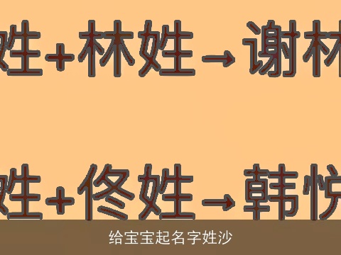 给宝宝起名字姓沙