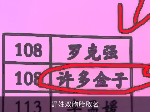 舒姓双胞胎取名