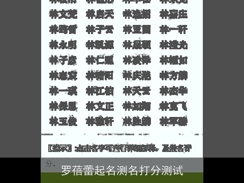 罗蓓蕾起名测名打分测试