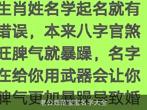 老公姓范宝宝名字大全