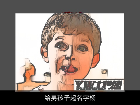 给男孩子起名字杨
