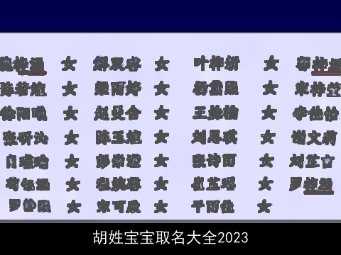 胡姓宝宝取名大全2023