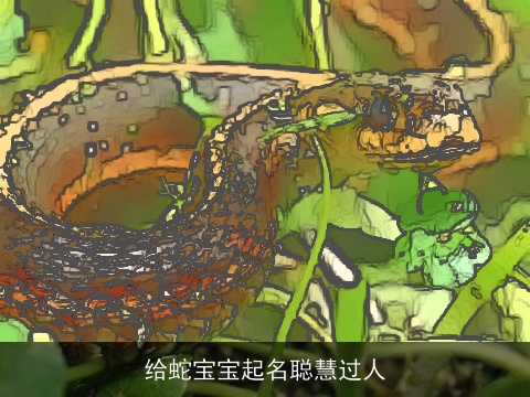 给蛇宝宝起名聪慧过人