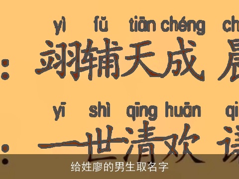 给姓廖的男生取名字