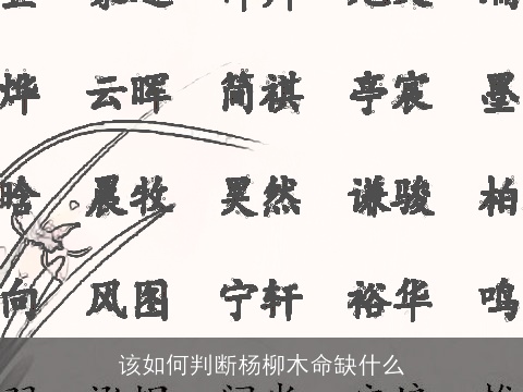 该如何判断杨柳木命缺什么