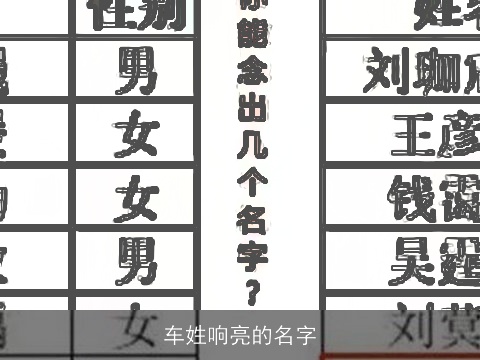 车姓响亮的名字